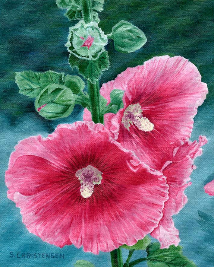 Hollyhocks