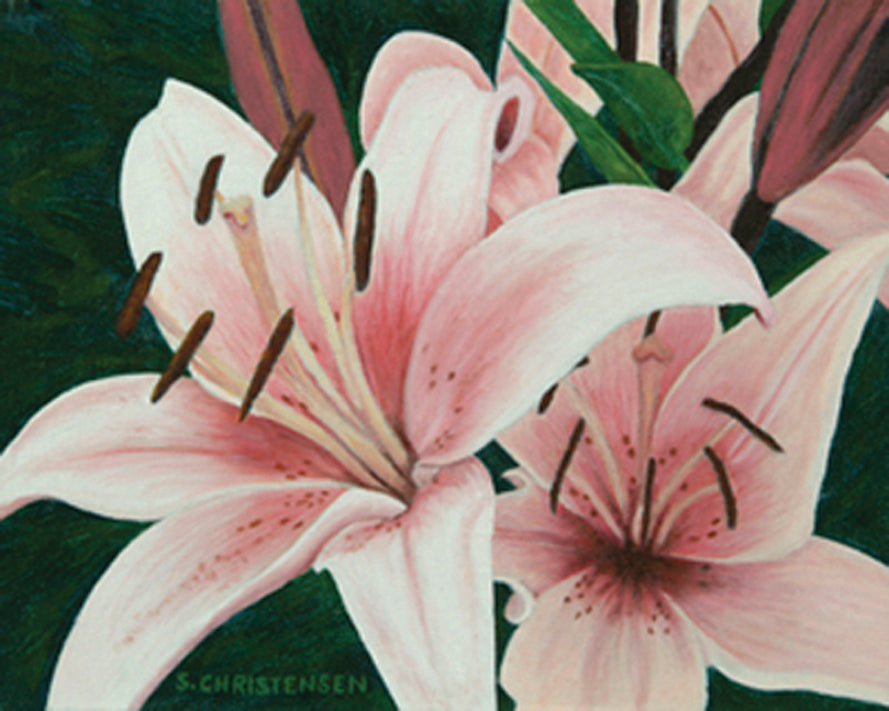 Lilies