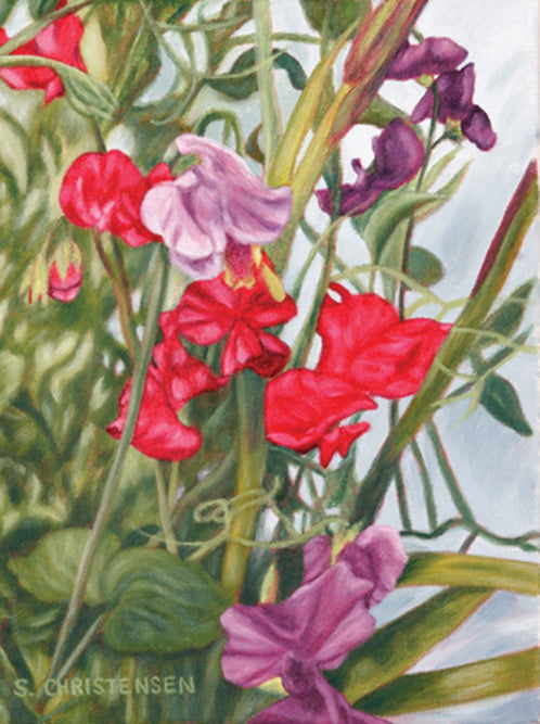 Sweet Peas